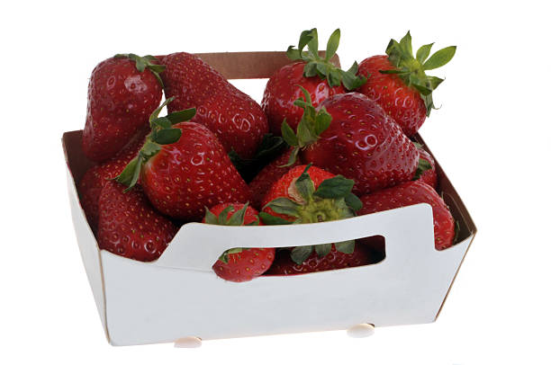 Solutions Fraîcheur